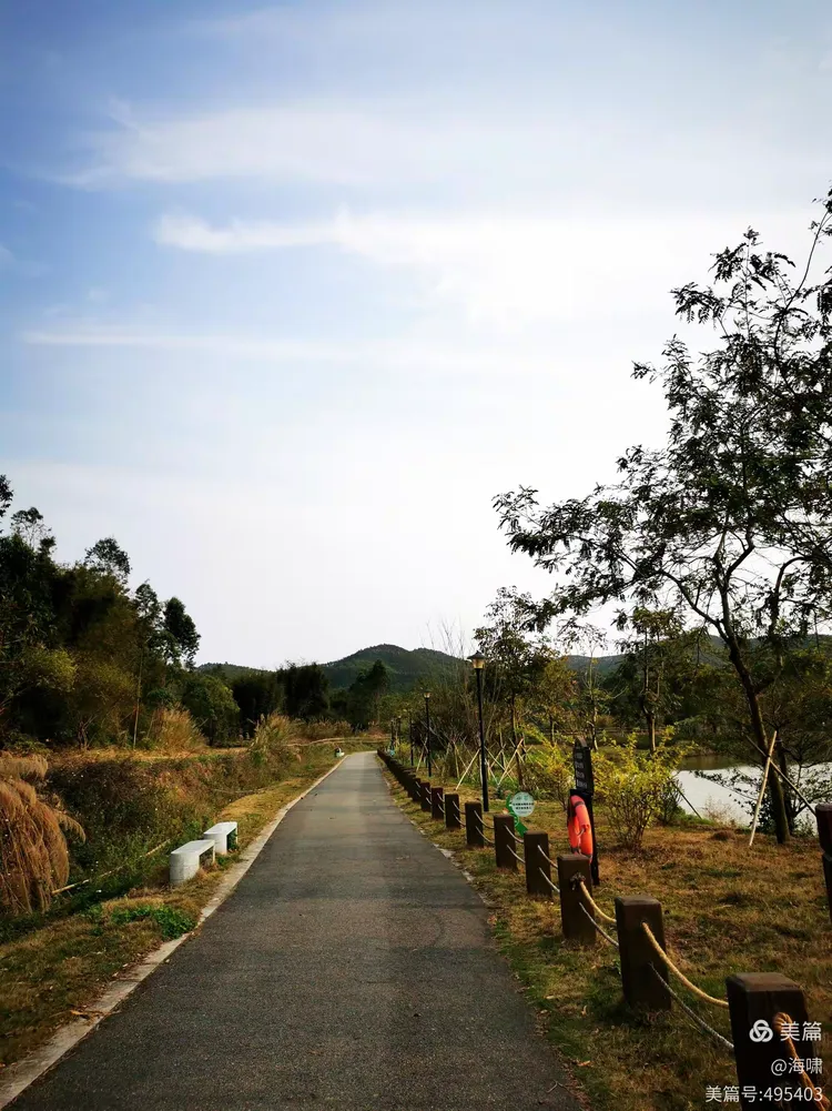 台山市金星湖湿地公园